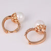 Crystal Style Hoop Earrings Adorned with Simulated Pearl